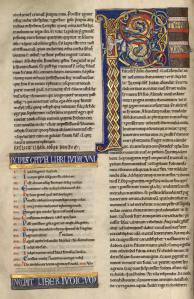 B031906101 MS 001 0081V d petite