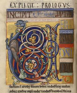 B031906101 MS 001 0191V 02 d petite