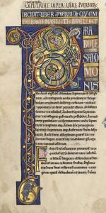 B031906101 MS 001 0226V d petite