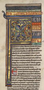 B031906101 MS 001 0306V d petite