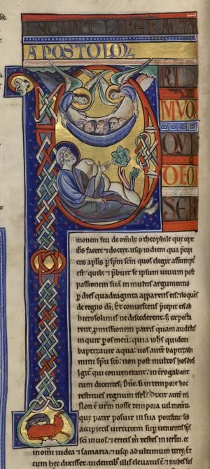 B031906101 MS 001 0342V 02 d petite