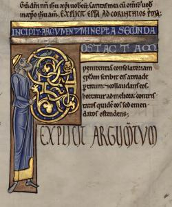 B031906101 MS 001 0373R d petite