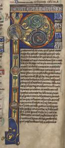 B031906101 MS 001 0377V 02 d petite