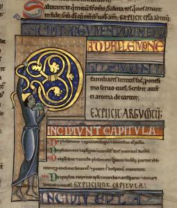 B031906101 MS 001 0386R 01 d petite