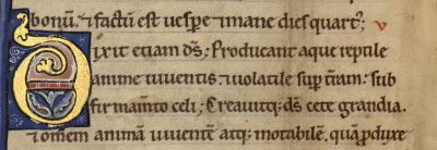 lettre champie MS 001 0004V petite