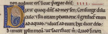 lettre champie MS 001 0025R petite