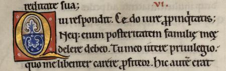 lettre champie MS 001 0091V petite