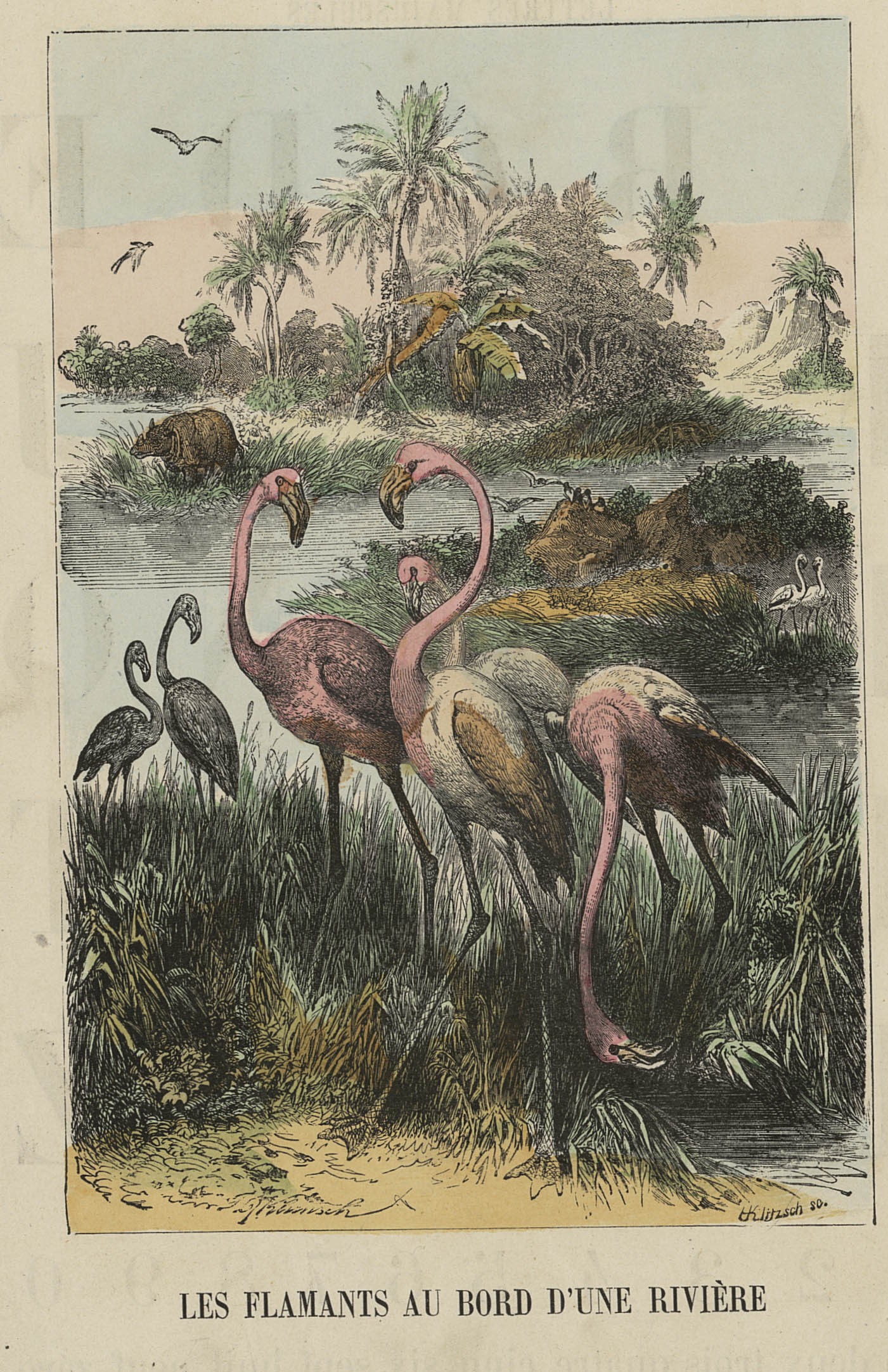 B031906101 GS 32636 0014