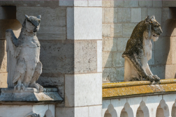 startup 594090 1920 copy